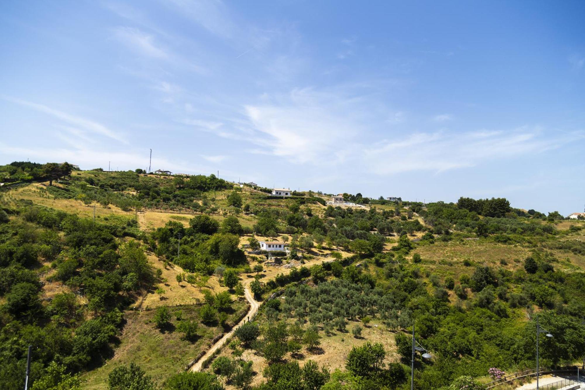 דירות ויקו דל גרגאנו Il Pieddo מראה חיצוני תמונה